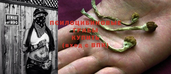 кокс Алагир