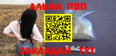 прущие грибы Гатчина
