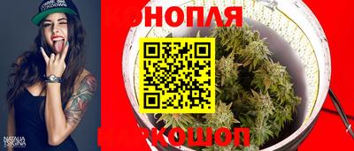 прущие грибы Гатчина