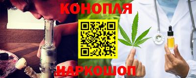 прущие грибы Гатчина