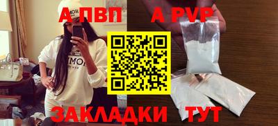 прущие грибы Гатчина