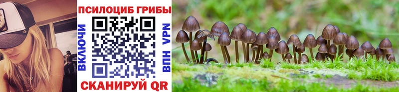 Галлюциногенные грибы ЛСД  Ангарск 