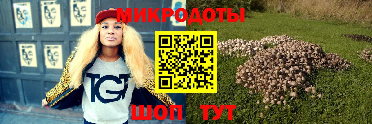 цена наркотик  Псилоцибиновые грибы Psilocybine cubensis  Вход с VPN  Ангарск 